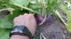 20130729_181124.jpg