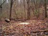 turkey on black 60 in hollow.jpg