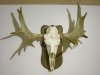 DSCN4046.jpg