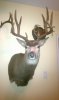 IMAG0728.jpg