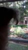 uploadfromtaptalk1396227317803.jpg