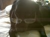 uploadfromtaptalk1396227401561.jpg