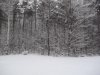 100_2415.jpg
