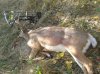 20131109_090132.jpg