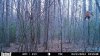 HUNT0030.jpg