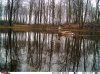 IMAG0040.jpg