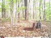 covert 4.jpg