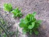 20140510_114933.jpg
