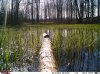 IMAG0286.jpg