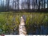 IMAG0005.jpg