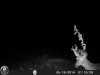HUNT0022.jpg