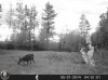 HUNT0157.jpg