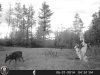 HUNT0158.jpg