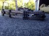 bow5.jpg