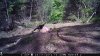 Trail Cam Food Plot 1 062.jpg