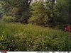 IMAG0750_zps7d08f4dc.jpg