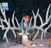 record deer.jpg