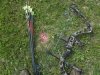 100_3793.jpg