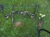 100_3797.jpg