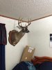 IMG_3790.jpg