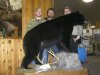 Bear 011.jpg