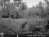 HUNT0077.jpg