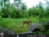 HUNT0080.jpg