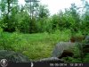 HUNT0084.jpg