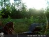 HUNT0070.jpg