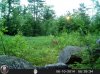HUNT0109.jpg