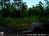 HUNT0065.jpg