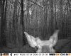 HUNT0260.jpg