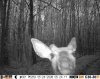 HUNT0263.jpg
