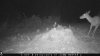 food plot 2 739.jpg