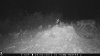 food plot 2 804.jpg