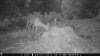 food plot 2 1059.jpg