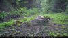 food plot 2 1124.jpg