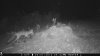 food plot 2 1125.jpg