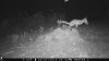 food plot 2 1126.jpg