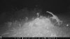 food plot 2 1127.jpg