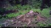 food plot 2 1181.jpg