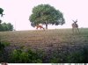 IMAG0088.jpg