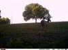IMAG0228.jpg
