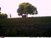 IMAG0234.jpg