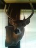 20140624_065952.jpg