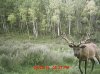 MDGC0016.jpg