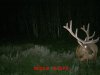 MDGC0038.jpg