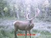MDGC0051.jpg