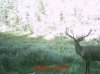 MDGC0078.jpg