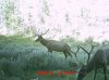 MDGC0079.jpg